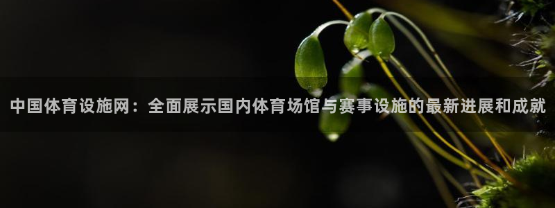 凯捷体育软件：中国体育设施网：全面展示国内体育场馆与