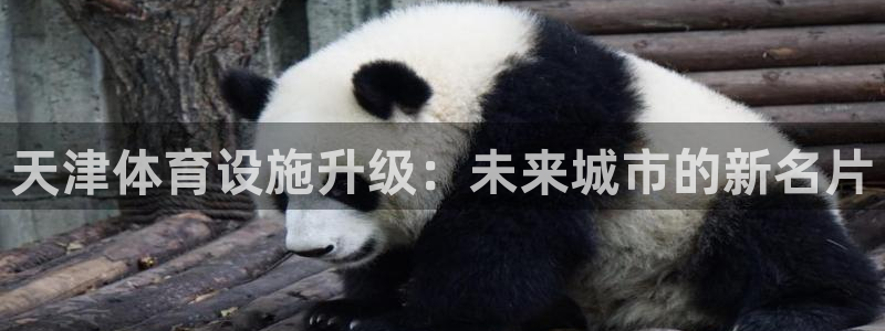 凯捷体育官方：天津体育设施升级：未来城市的新名片