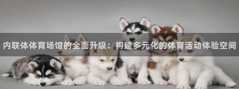 凯捷体育神州：内联体体育场馆的全面升级：构建多元化的