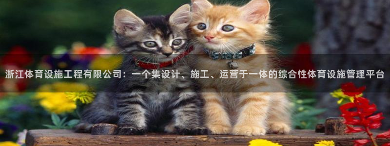 凯捷平台体育：浙江体育设施工程有限公司：一个集设计、