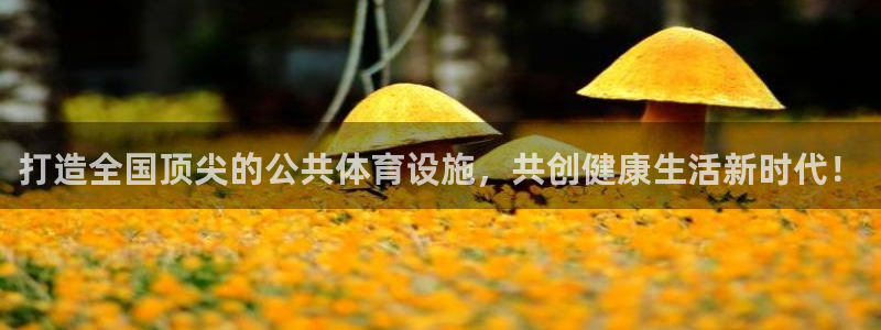 凯捷体育五金厂：打造全国顶尖的公共体育设施，共创健康生活新时 