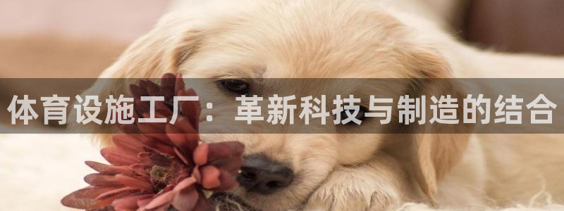 凯捷体育官网：体育设施工厂：革新科技与制造的结合 