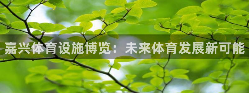 凯捷体育娱乐