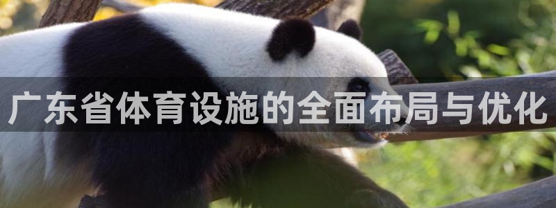 凯捷体育是干嘛的公司