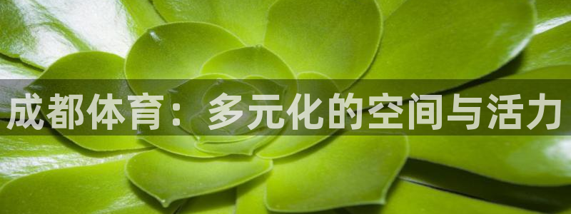 凯捷体育娱乐网站：成都体育：多元化的空间与活力
