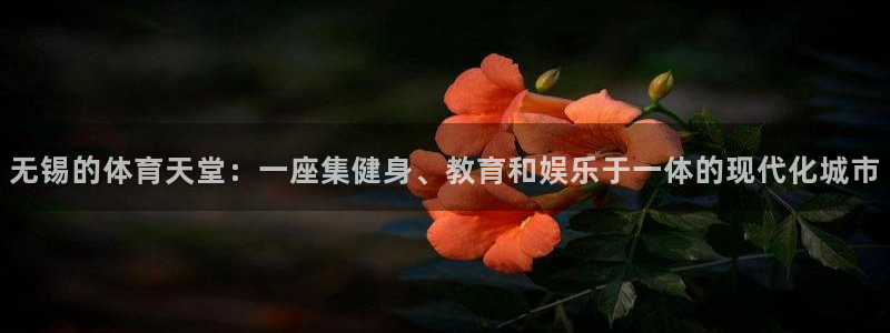 凯捷体育平台注册：无锡的体育天堂：一座集健身、教育和娱乐于一
