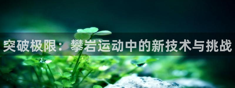 凯捷体育招商电话号码查询：突破极限：攀岩运动中的新技术与挑战