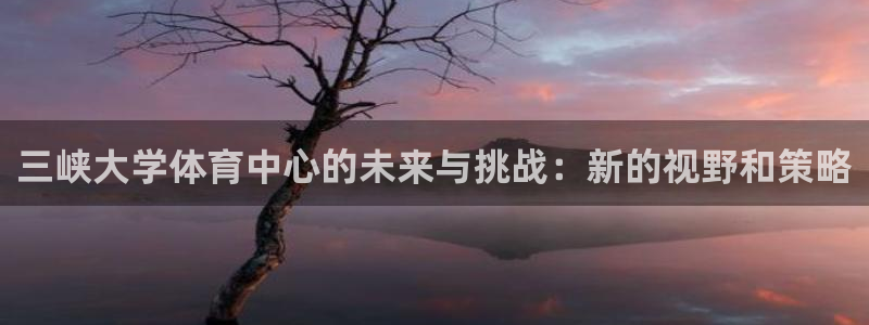 凯捷集团官网：三峡大学体育中心的未来与挑战：新的视野