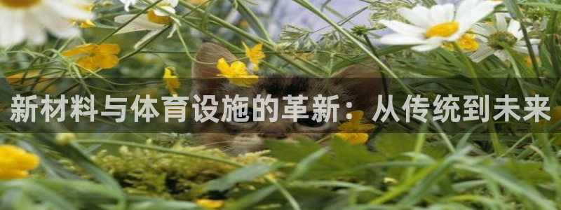 凯捷体育软件：新材料与体育设施的革新：从传统到未来