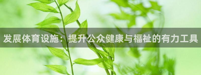 凯捷体育科技：发展体育设施：提升公众健康与福祉的有力