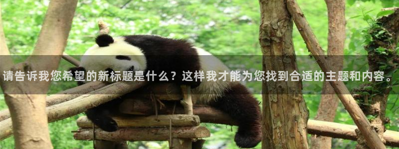 凯捷体育娱乐40996：请告诉我您希望的新标题是什么