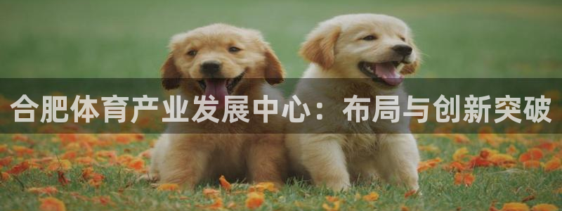 凯捷体育平台假的吗是真的吗：合肥体育产业发展中心：布
