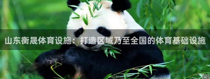 凯捷体育集团官网网址：山东衡晟体育设施：打造区域乃至