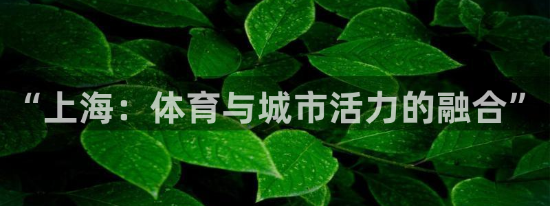 凯捷体育娱乐是那个系列的台子：“上海：体育与城市活力的融合” 