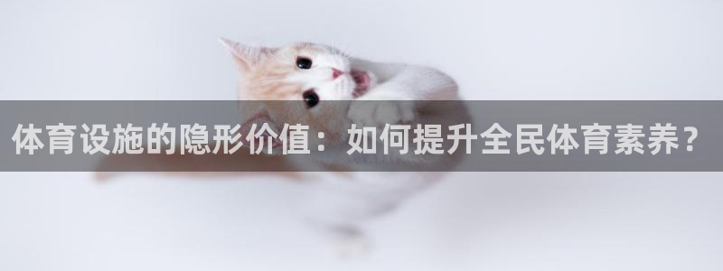 海南凯捷体育：体育设施的隐形价值：如何提升全民体育素