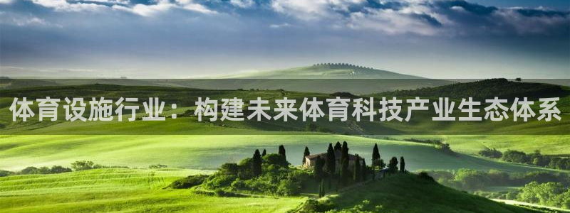 凯捷体育平台注册要钱吗：体育设施行业：构建未来体育科