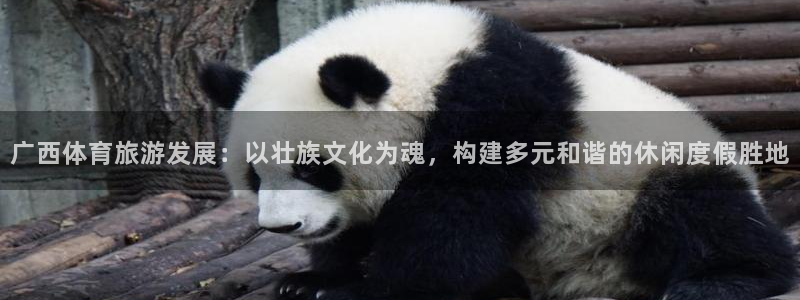 凯捷体育招商电话号码查询：广西体育旅游发展：以壮族文