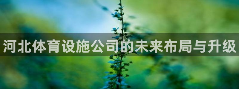 凯捷体育娱乐首页官网下载：河北体育设施公司的未来布局