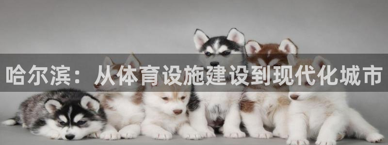 凯捷体育注册：哈尔滨：从体育设施建设到现代化城市