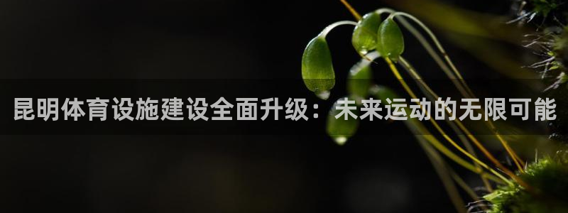 凯捷体育娱乐下载：昆明体育设施建设全面升级：未来运动的无限可