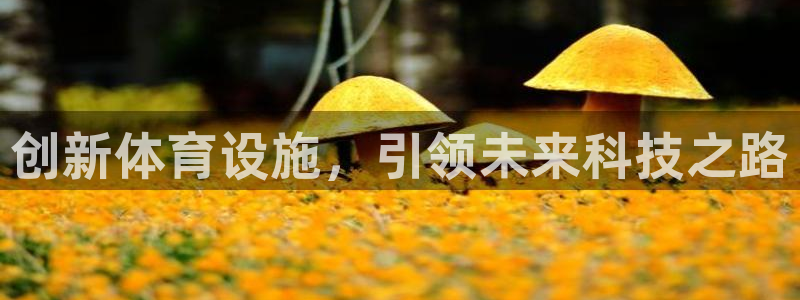 德国凯捷体育集团：创新体育设施，引领未来科技之路