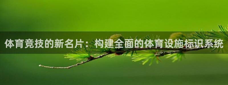 凯捷体育平台注册流程视频：体育竞技的新名片：构建全面的体育设