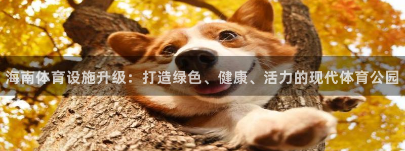 凯捷体育：海南体育设施升级：打造绿色、健康、活力的现代体育公