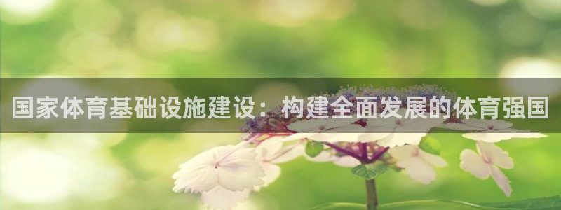 凯捷体育开户：国家体育基础设施建设：构建全面发展的体