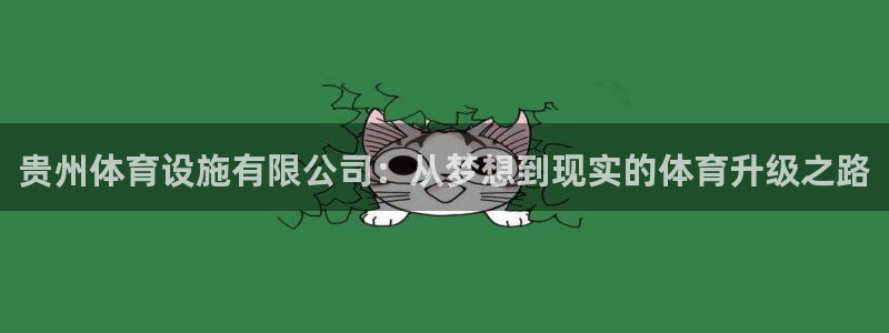 凯捷体育开户：贵州体育设施有限公司：从梦想到现实的体