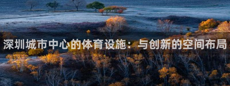 凯捷体育集团简介