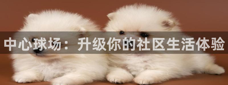 凯捷体育娱乐：中心球场：升级你的社区生活体验