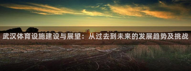 凯捷体育招商电话号码：武汉体育设施建设与展望：从过去