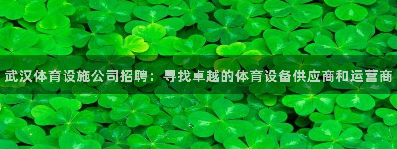 凯捷体育娱乐：武汉体育设施公司招聘：寻找卓越的体育设