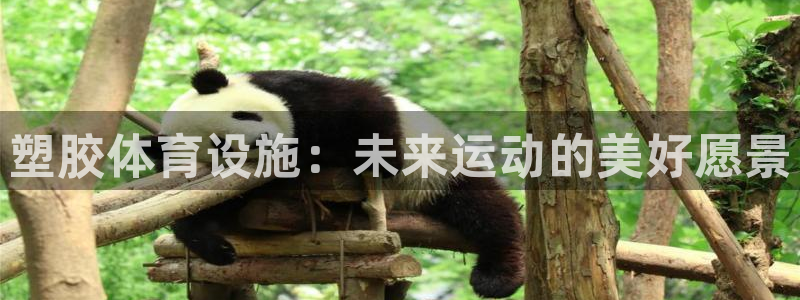 凯捷体育集团：塑胶体育设施：未来运动的美好愿景