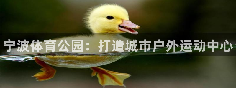 凯捷体育平台注册要钱吗是真的吗：宁波体育公园：打造城