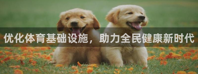 凯捷体育官方：优化体育基础设施，助力全民健康新时代