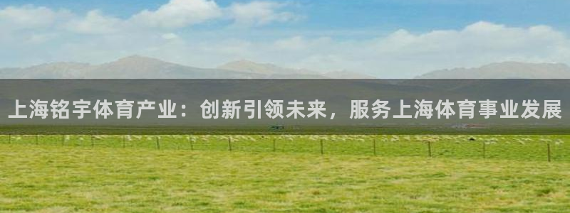 凯捷平台体育：上海铭宇体育产业：创新引领未来，服务上