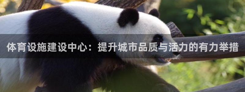 凯捷体育五金厂：体育设施建设中心：提升城市品质与活力的有力举