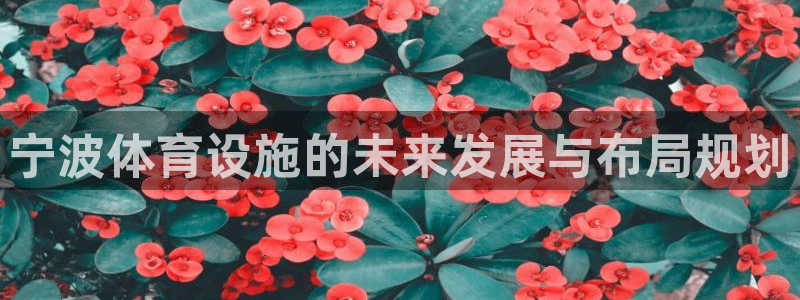 凯捷体育招商电话号码：宁波体育设施的未来发展与布局规