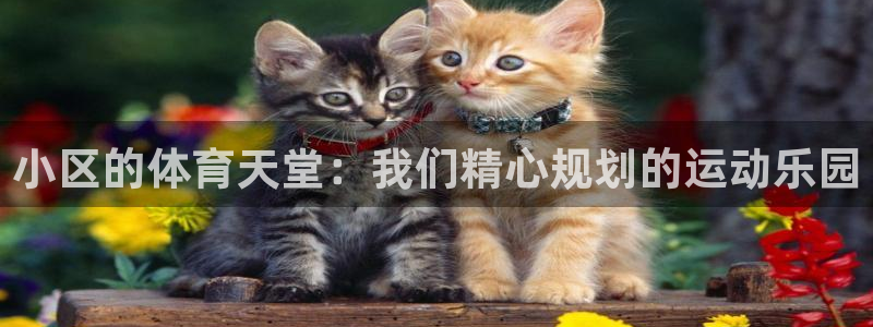 凯捷体育招商电话地址：小区的体育天堂：我们精心规划的