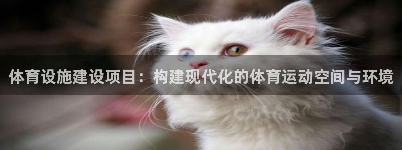 凯捷体育平台注册流程图：体育设施建设项目：构建现代化