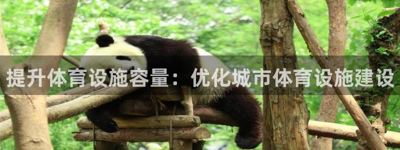凯捷体育神州：提升体育设施容量：优化城市体育设施建设