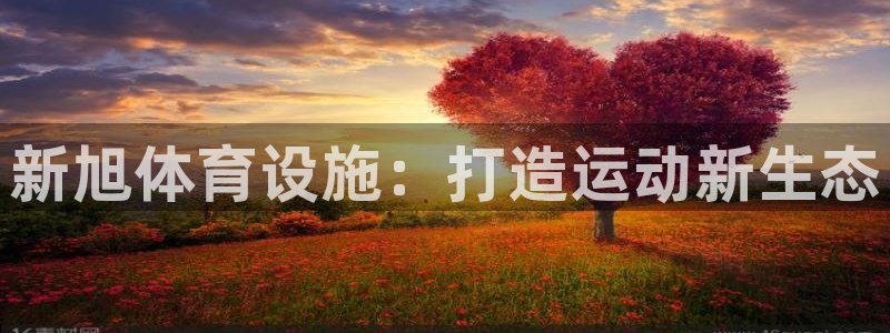 注册凯捷体育：新旭体育设施：打造运动新生态