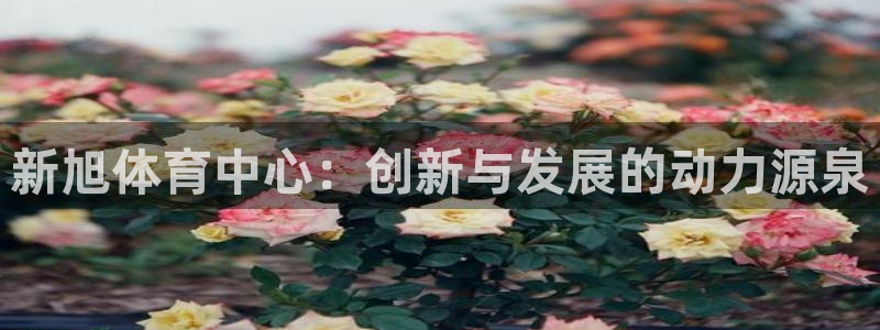 凯捷体育娱乐平台：新旭体育中心：创新与发展的动力源泉