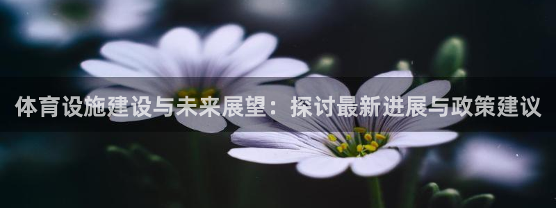 凯捷体育集团官网首页：体育设施建设与未来展望：探讨最
