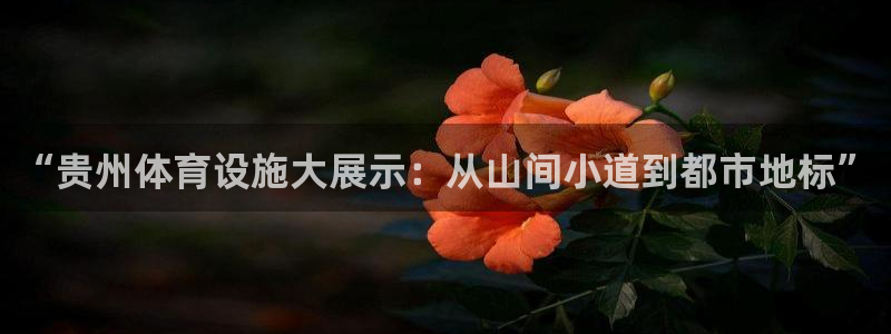 凯捷体育集团：“贵州体育设施大展示：从山间小道到都市
