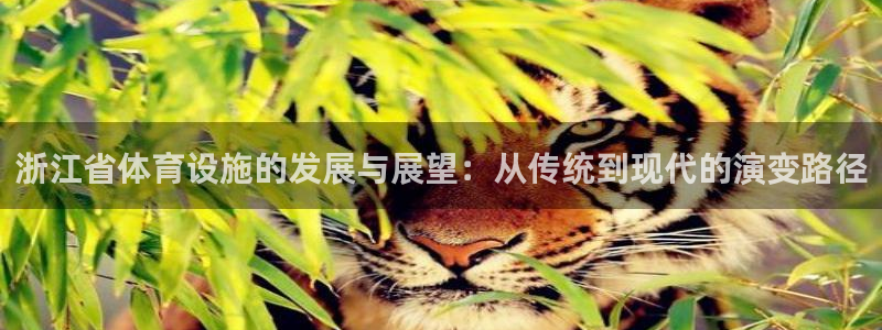 凯捷体育招商电话是多少啊：浙江省体育设施的发展与展望：从传统