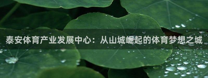 凯捷体育：泰安体育产业发展中心：从山城崛起的体育梦想