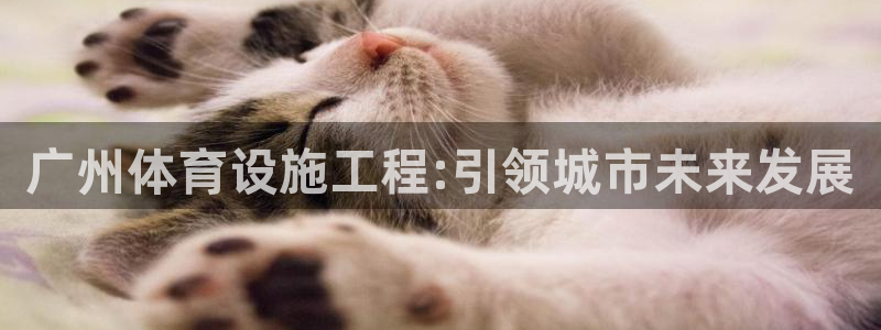 凯捷体育招商电话号码查询：广州体育设施工程:引领城市未来发展 