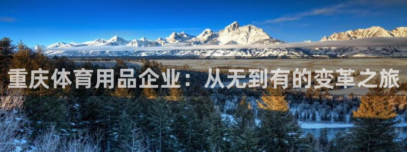 凯捷体育集团官网首页网址：重庆体育用品企业：从无到有的变革之